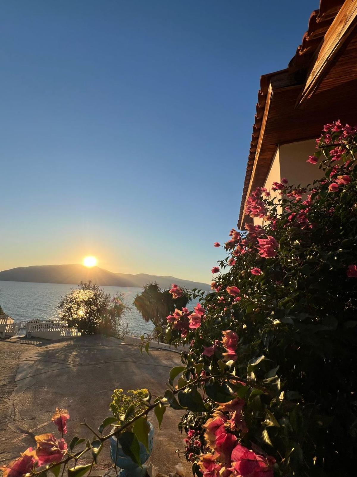 Blue Dream Holiday Hotel Vlorë Eksteriør billede