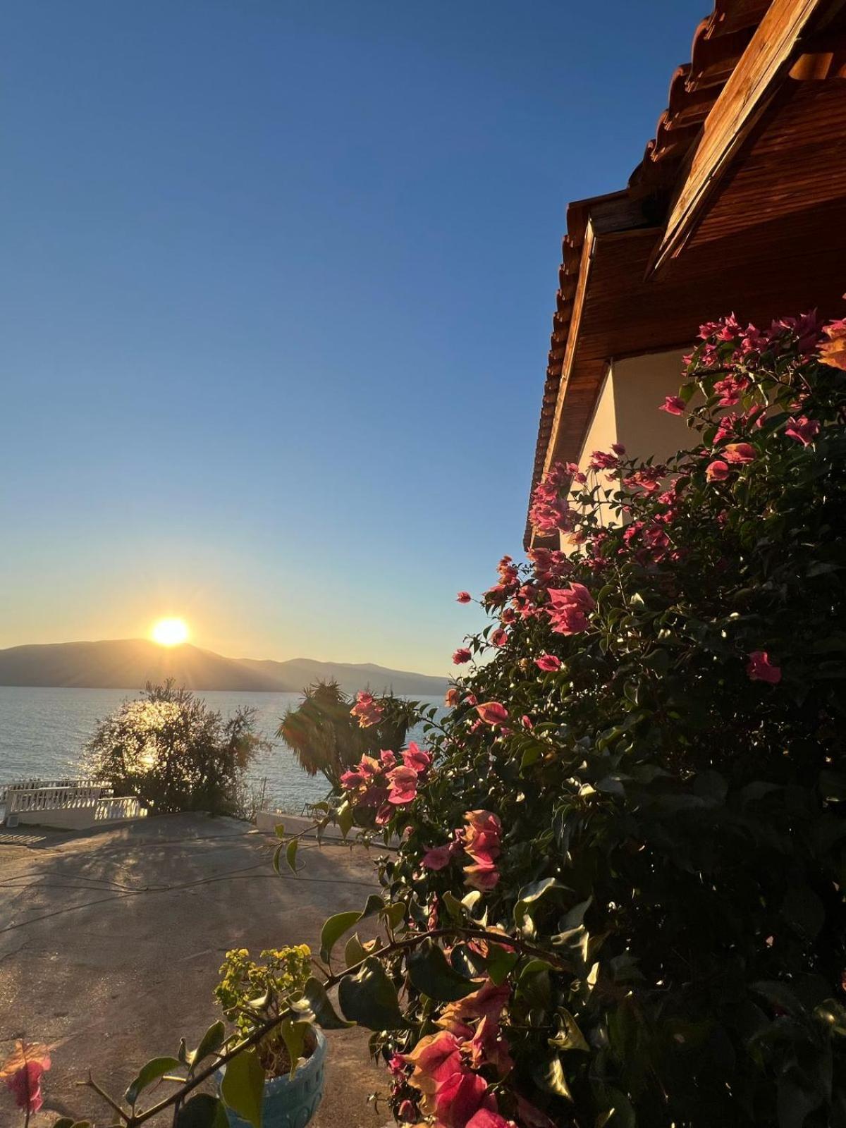 Blue Dream Holiday Hotel Vlorë Eksteriør billede